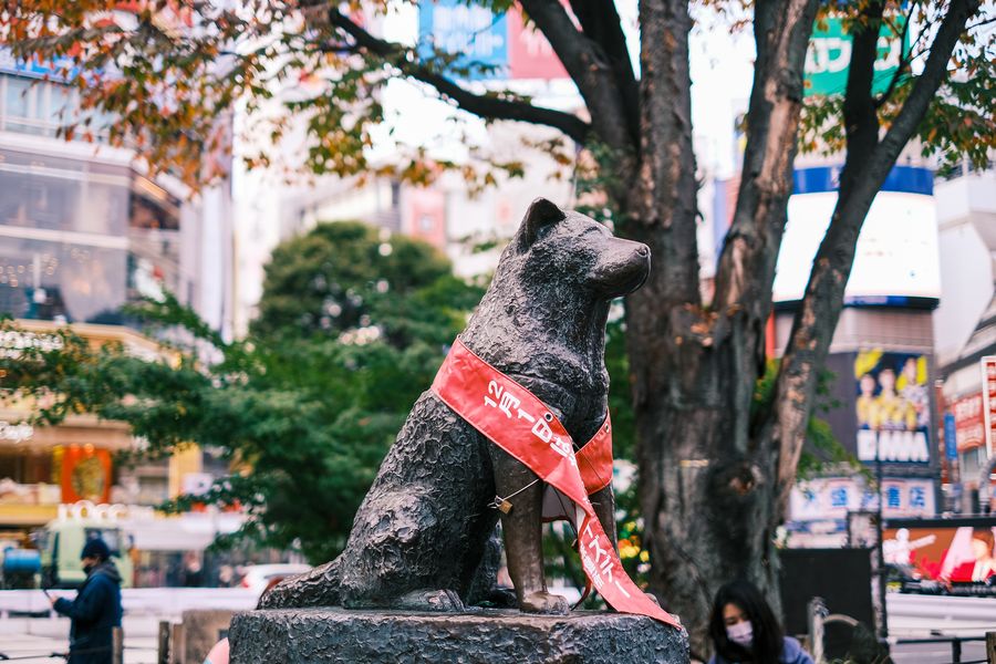 渋谷駅前のハチ公像